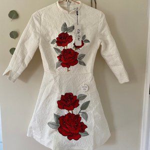 NWT Beautiful and Chic Chi Chi London Dress